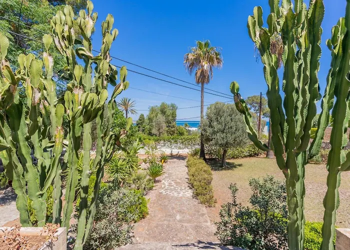 In Denia: Beachfront With Bbq דניה